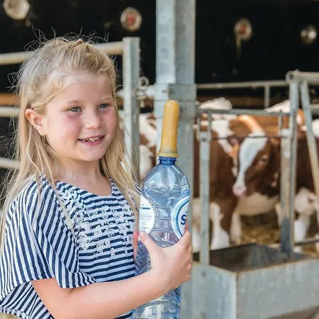 Haus Engel-gabriel Steffeshausen